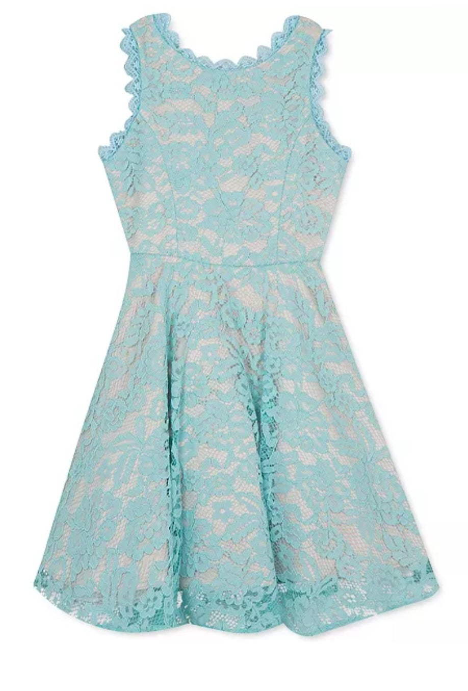 Rare Editions Big Girls Scalloped Lace Fit and Flare Dress