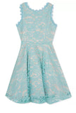 Rare Editions Big Girls Scalloped Lace Fit and Flare Dress